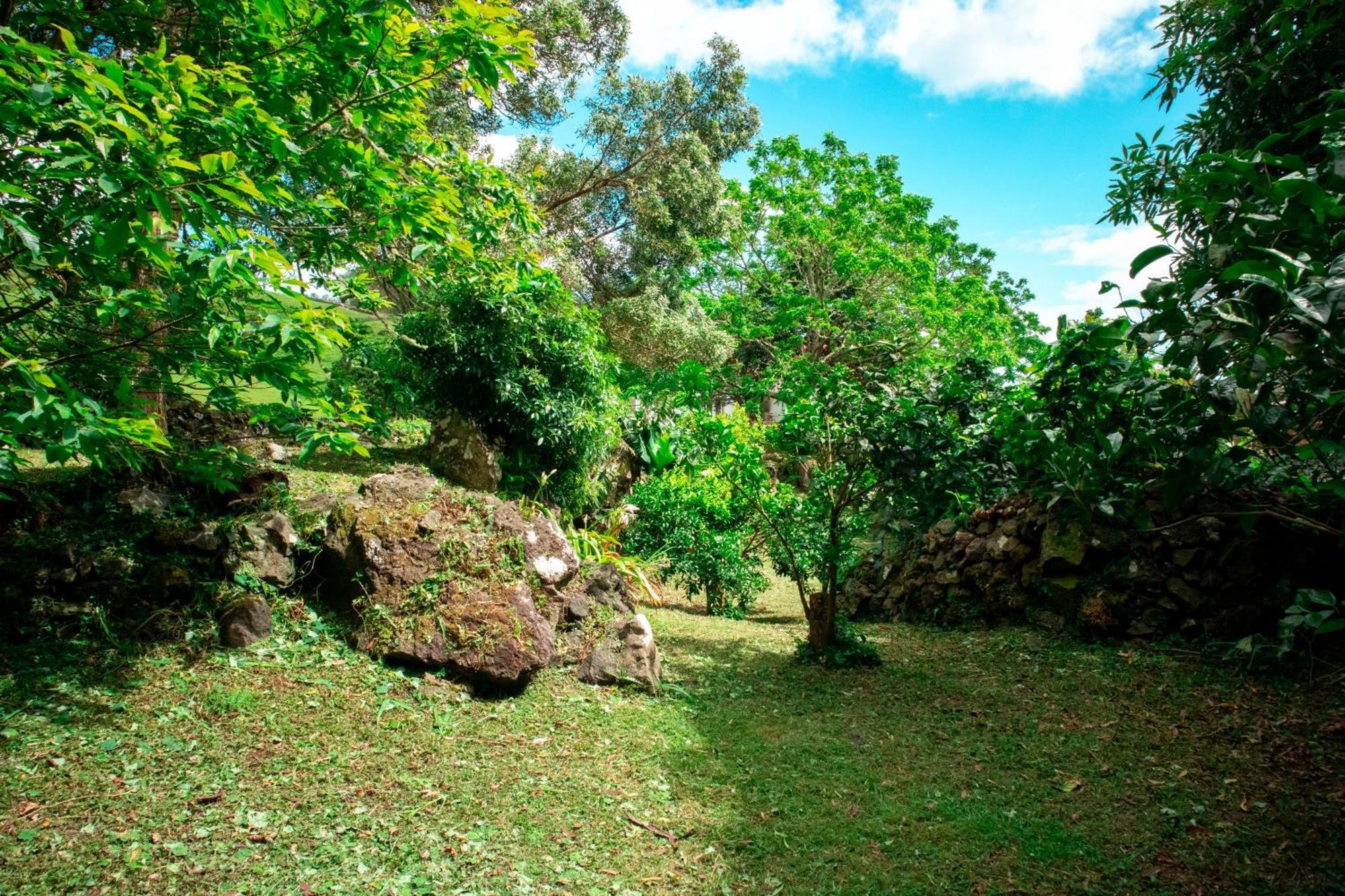 Casa De Campo Franco Da Serra 英雄港 外观 照片