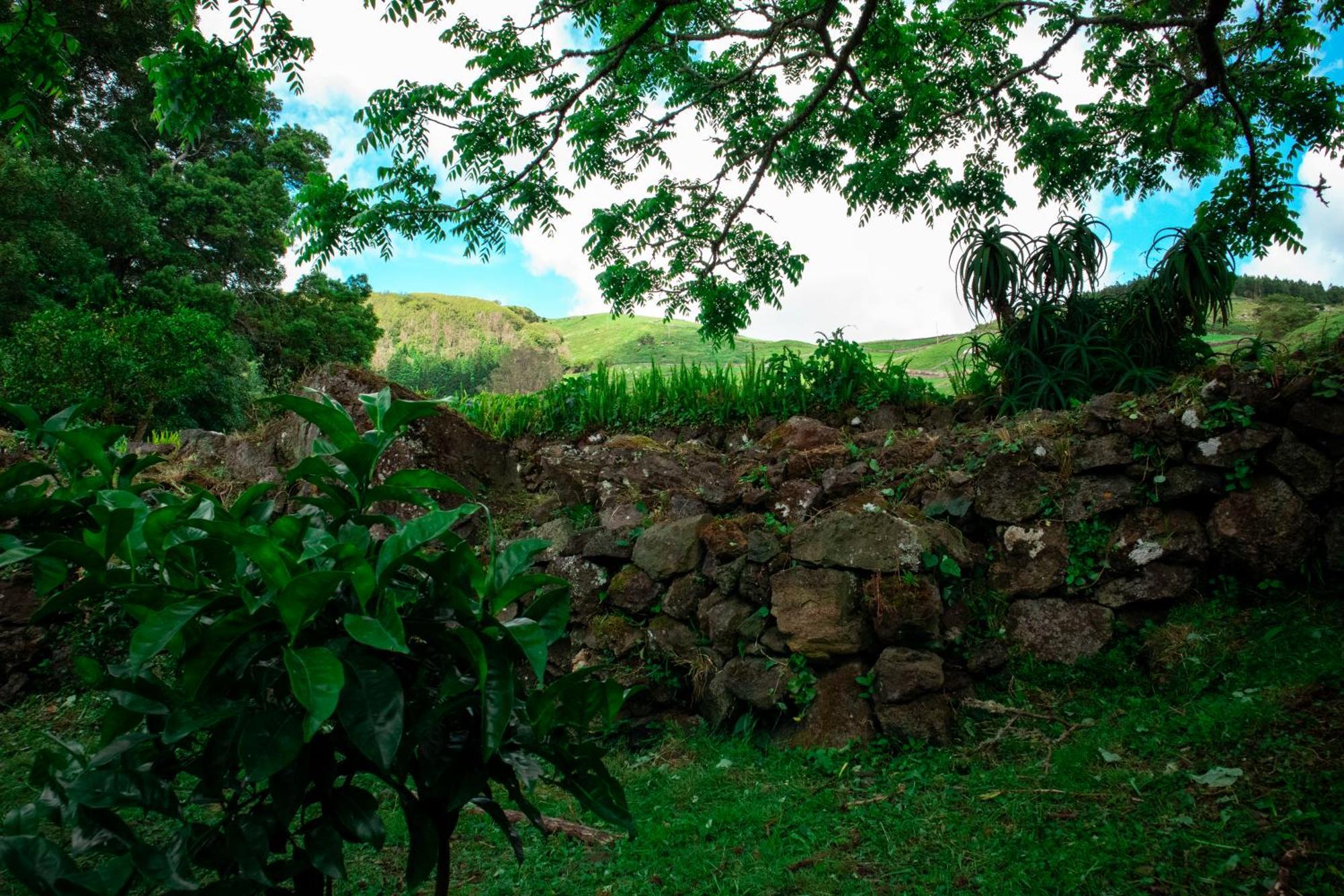 Casa De Campo Franco Da Serra 英雄港 外观 照片